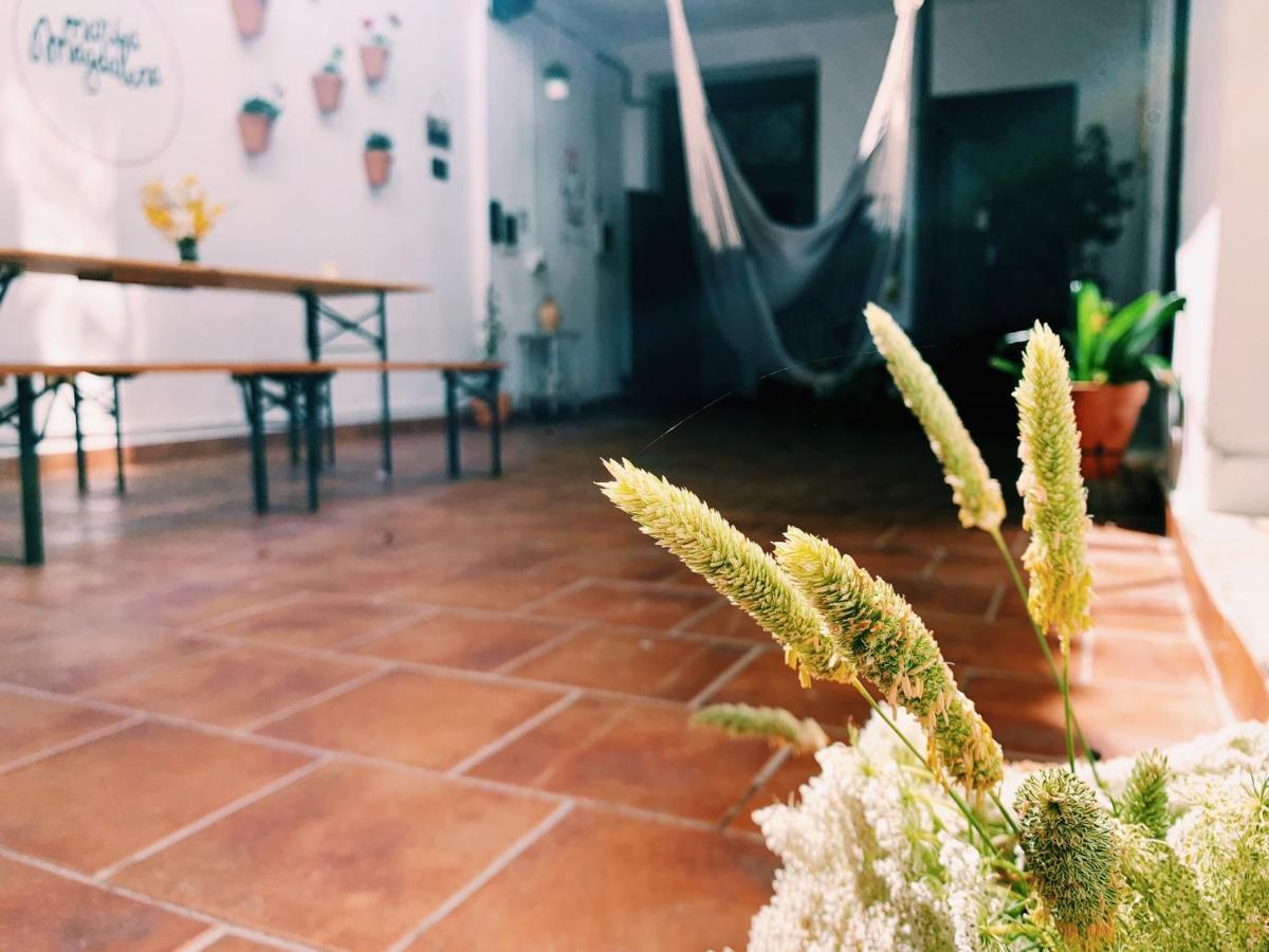 Maria Magdalena - Room 5 Malaga Ngoại thất bức ảnh